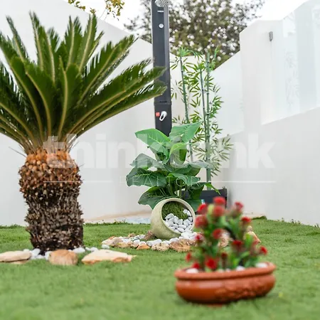 Solemare Holiday home
